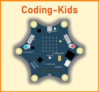 Programmieren mit dem Calliope mini und staunen über die Ergebnisse selbst geschriebenen Computercodes